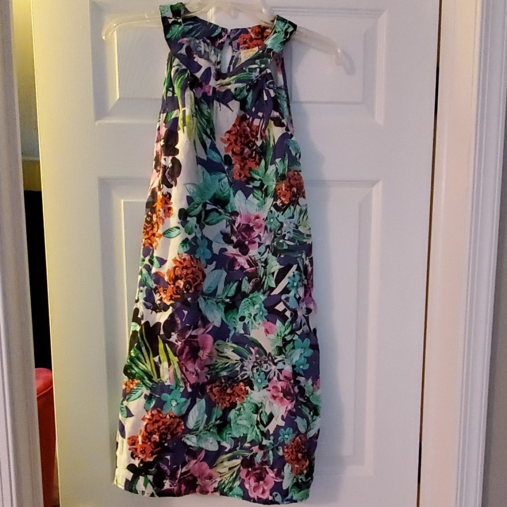 C&C Dress